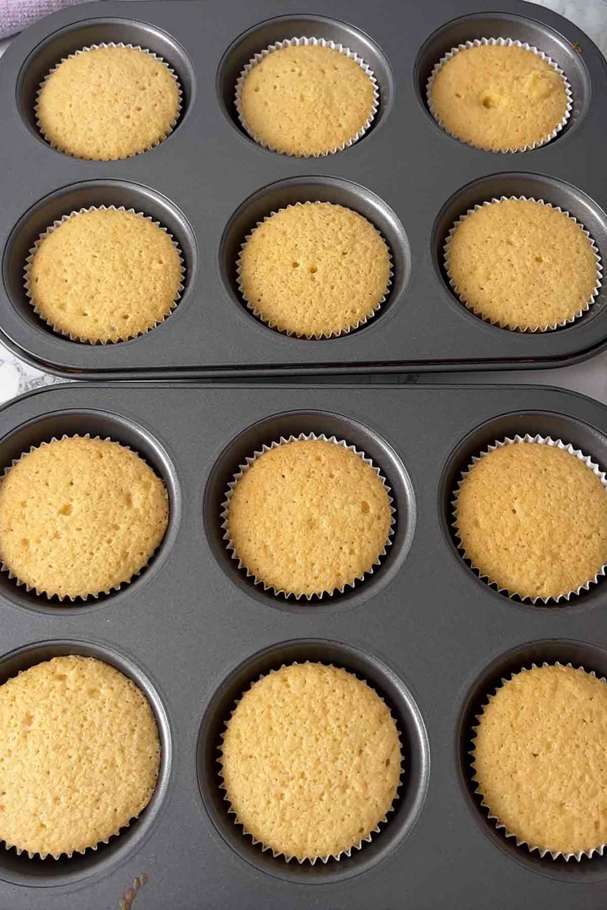 baked mini cupcakes in tin