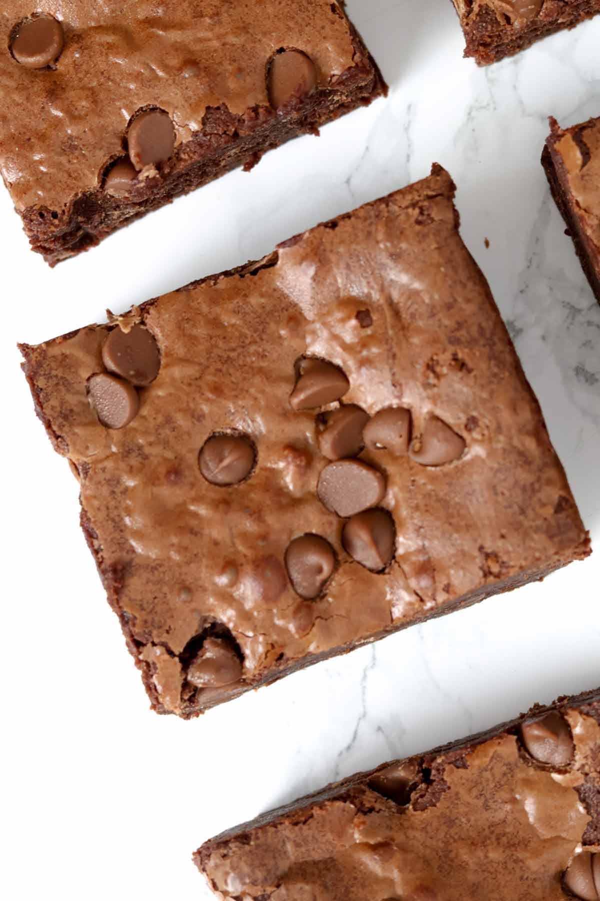 overhead image of brownie squares for oily brownies troubleshooting post