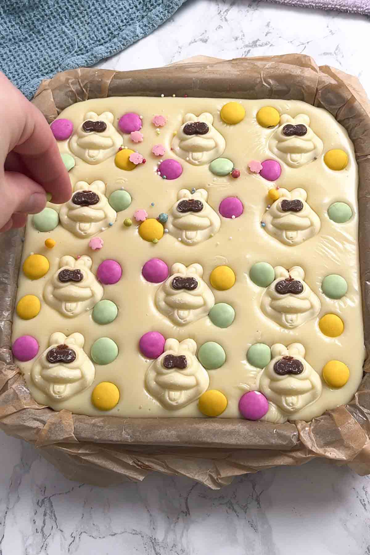 adding chocolate colin the caterpillar faces and colourful beans on top of the no bake biscuit slice